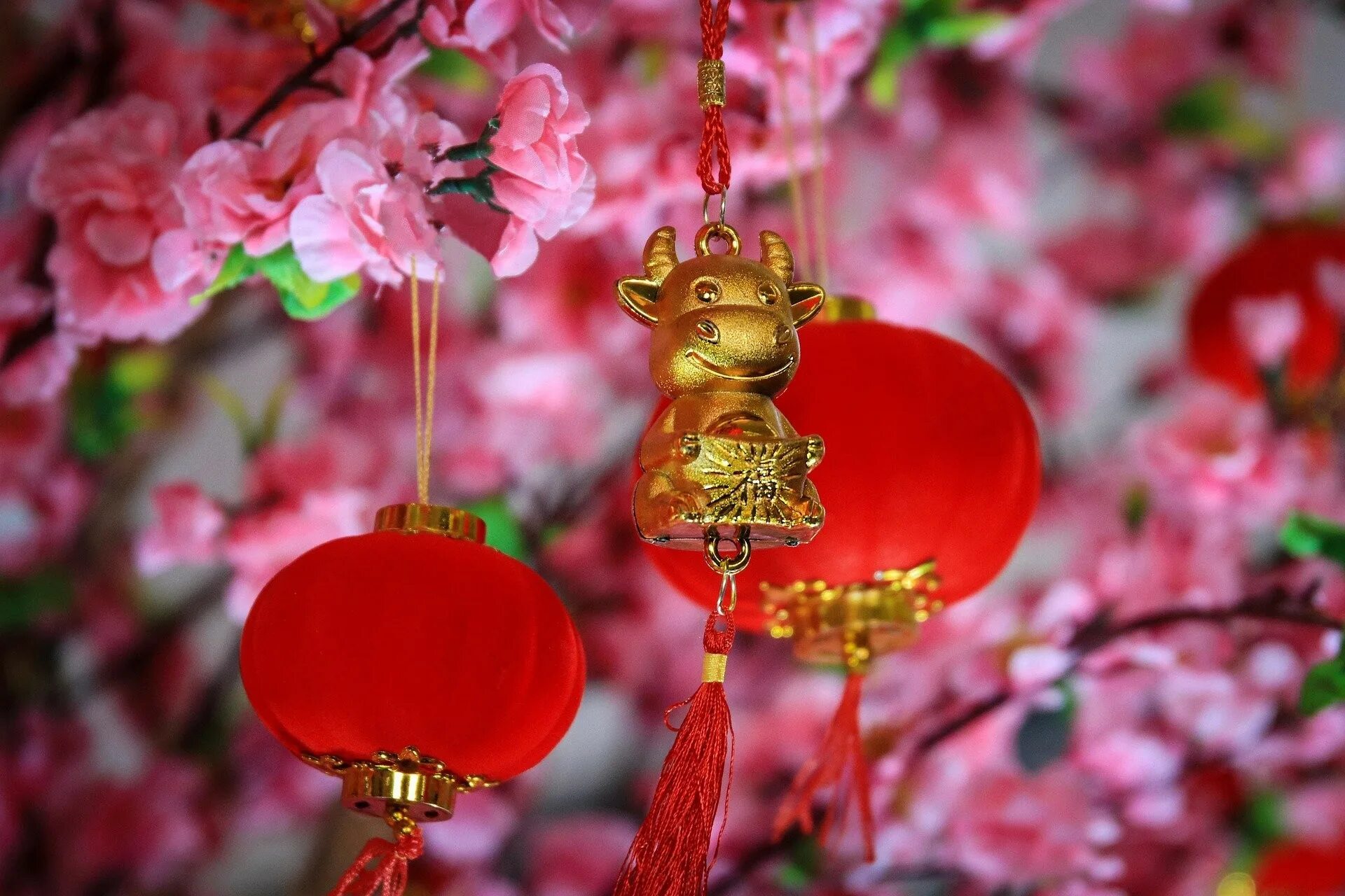 Праздник весны в китае какой календарь. Китайский новый год. Новый год в Китае. Наступающий китайский новый год. Праздник весны в Китае.
