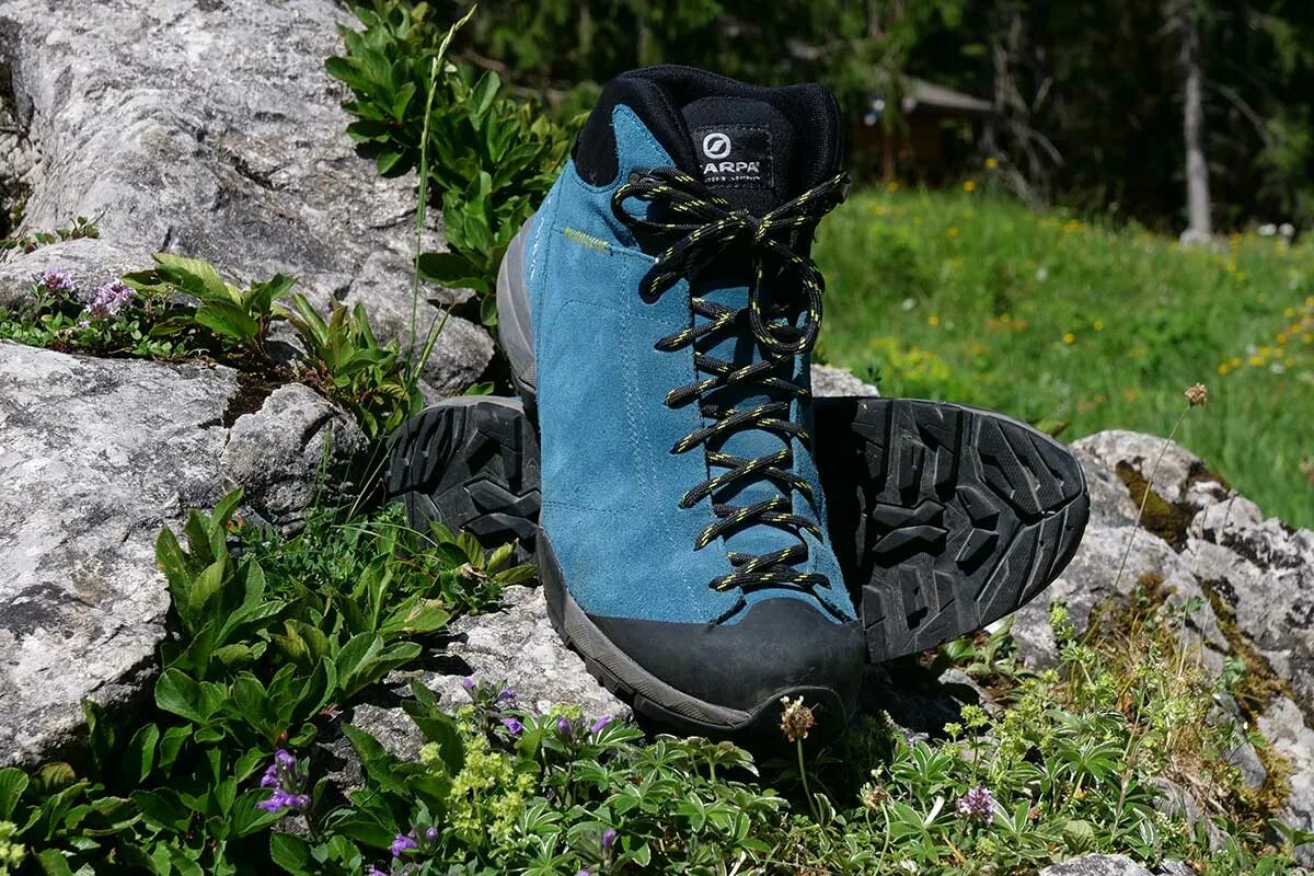 Ботинки Scarpa Mojito. Ботинки Scarpa Mojito GTX. Scarpa ботинки треккинговые. Скарпа Мохито GTX.