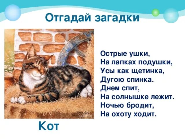 Загадки про котенка для 1 класса. Загадка про кота. Загадка про кошку для детей. Загадки о котах. Загадка про котенка.