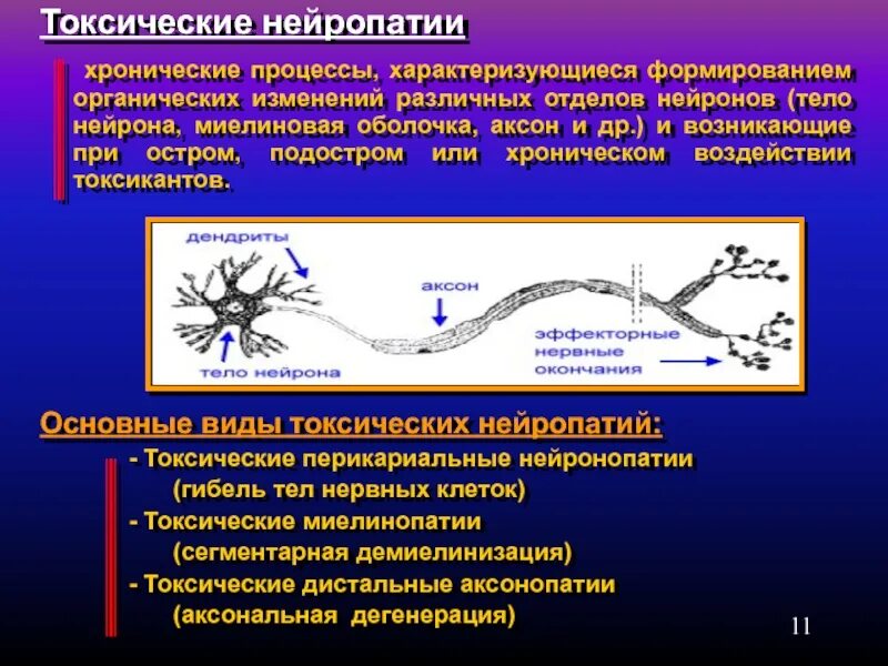 Миелиновая оболочка нейрона. Аксональные и Демиелинизирующие полинейропатии. Процессы транспорта в нейроне. Аксональный Тип поражения нервов.