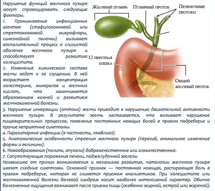 Что выводит печень. Отключенного желчного пузыр. Измененный желчный пузырь. Симптомы патологии желчного пузыря. При заболеваниях желчного.