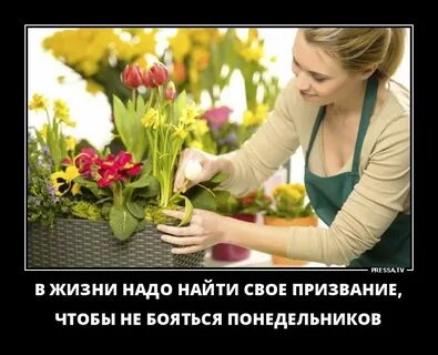 Чем полезен флорист