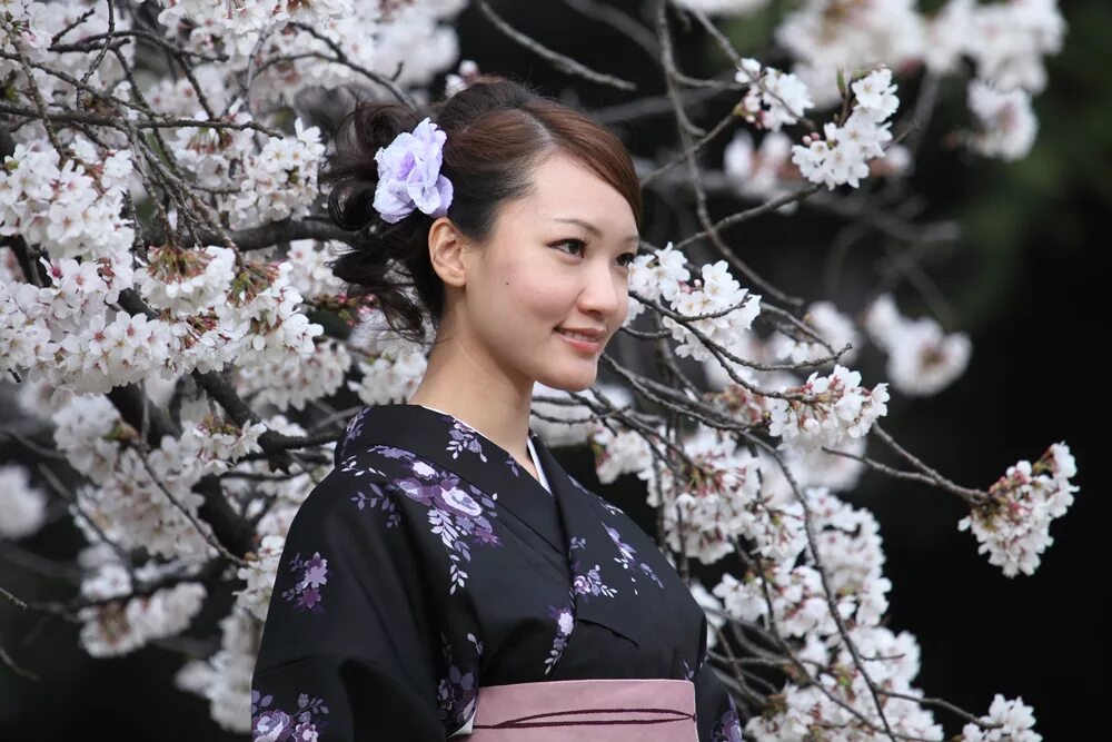 Принцесса сакура. Дорама Сакура. Cherry Blossom дорама. Принцесса Сакура (Princess Sakura).