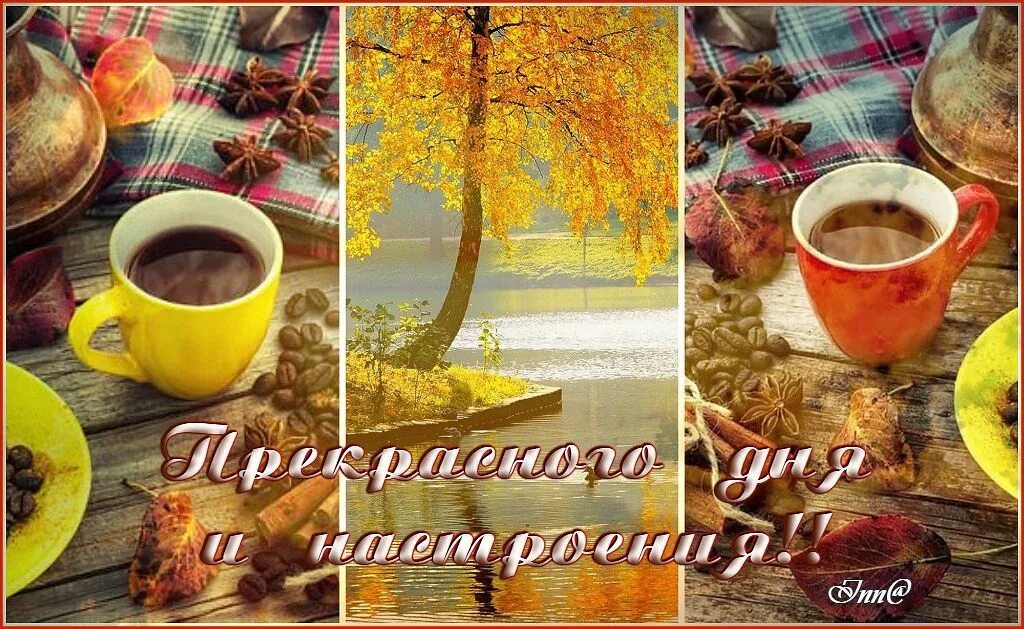 Доброго осеннего утра и дня пятницы. Коллаж с добрым утром. с добрым осенним утром пятницы. красивые осенние коллажи с добрым утром. с добрым осенним утром коллаж.
