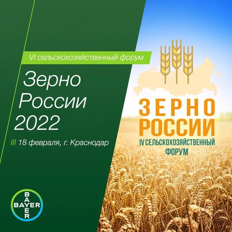 Зерно России 2022. Зерно России выставка форум. Зерновой форум 2022. Аграрный форум России 2022.