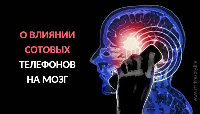 Влияние телефона на мозг человека. Излучение телефона на мозг. Влияние телефона на человека. Влияние телефона на человеческую мозг.