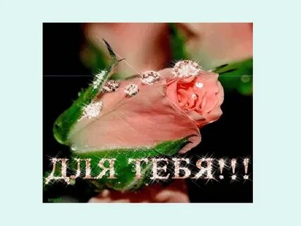День рождения галии