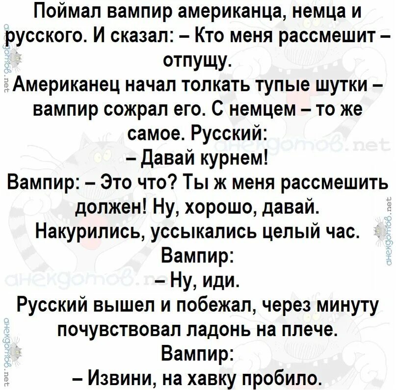 Черные анекдоты из тик тока. Тупые анекдоты. Тупые смешные анекдоты. Шутки про тупые шутки. Самые тупые анекдоты.