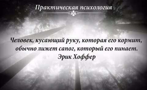Психология жизни и деятельности человека