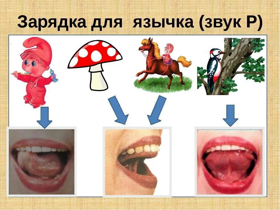 Артикуляционная гимнастика для соноров звуков. Постановки и автоматизация артикуляция звука р. Артикуляционная гимнастика для звука р. Постановка звука р артикуляция. Логопед ставит звуки