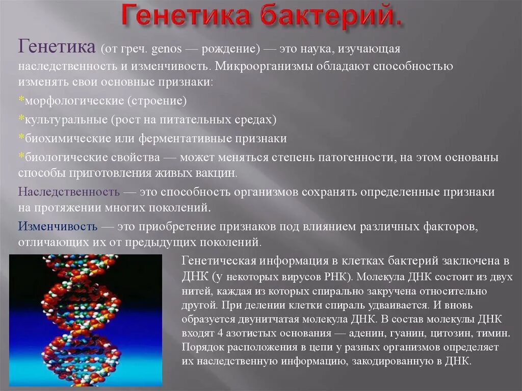 Днк наследственные признаки. Генетика бактерий. Генетическая изменчивость бактерий. Генетика и изменчивость микроорганизмов. Генетика бактерий и вирусов микробиология.