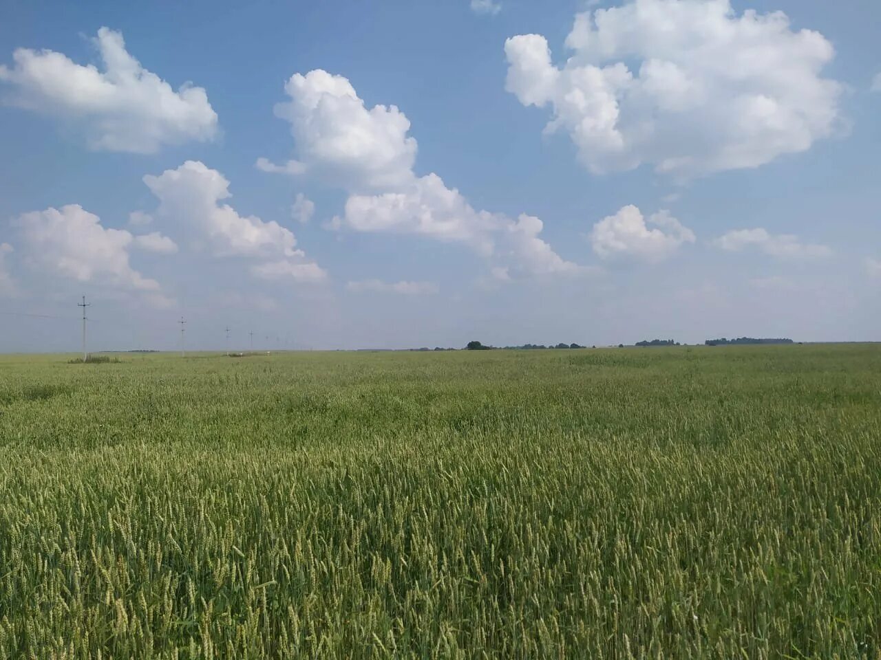 Пахотные поля белоруссия. Участок с/х назначения. Земли сельскохозяйственного назначения. Сельскохозяйственные земли. Земли сельхозназначения.