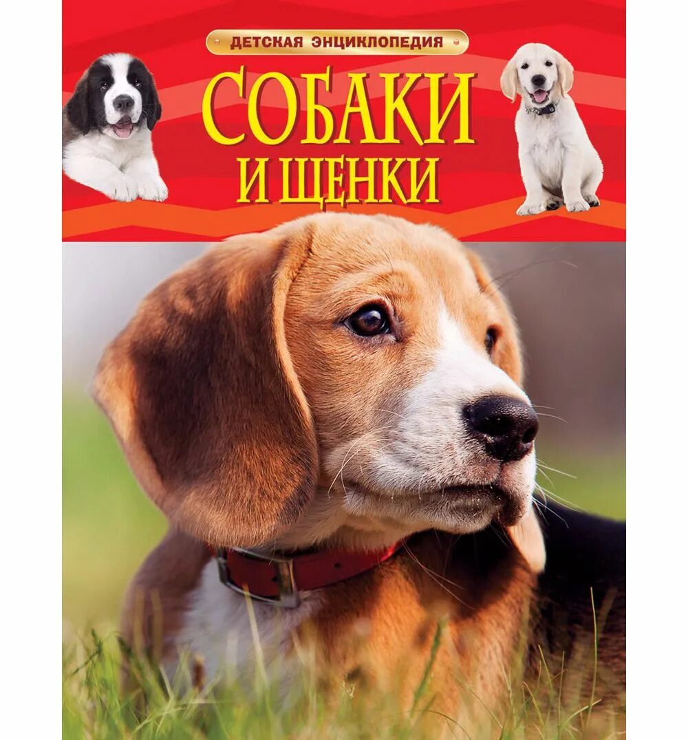 Книги о собаках отзывы. Росмэн энциклопедия собаки. Детская энциклопедия. Собаки и щенки. Детская энциклопедия Росмэн. Собаки. Детские книги про собак.