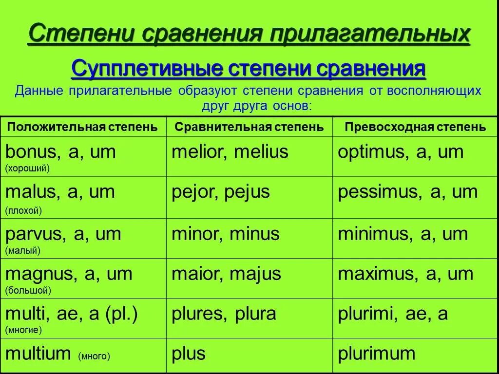 Сравнительная степень прилагательных в латинском языке. Сравнительная степень прилагательного в латинском языке. Сравнительная степень прилагательного латынь. Степени сравнения прил в латинском языке. Образуйте от данных прилагательных простую сравнительную