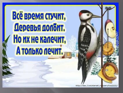 Стихи про зимующих птиц для детей