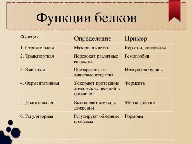 Название функций белка. Функции белков. Строительная функция белка примеры. Строительная функция белков примеры. Функции белков определение.