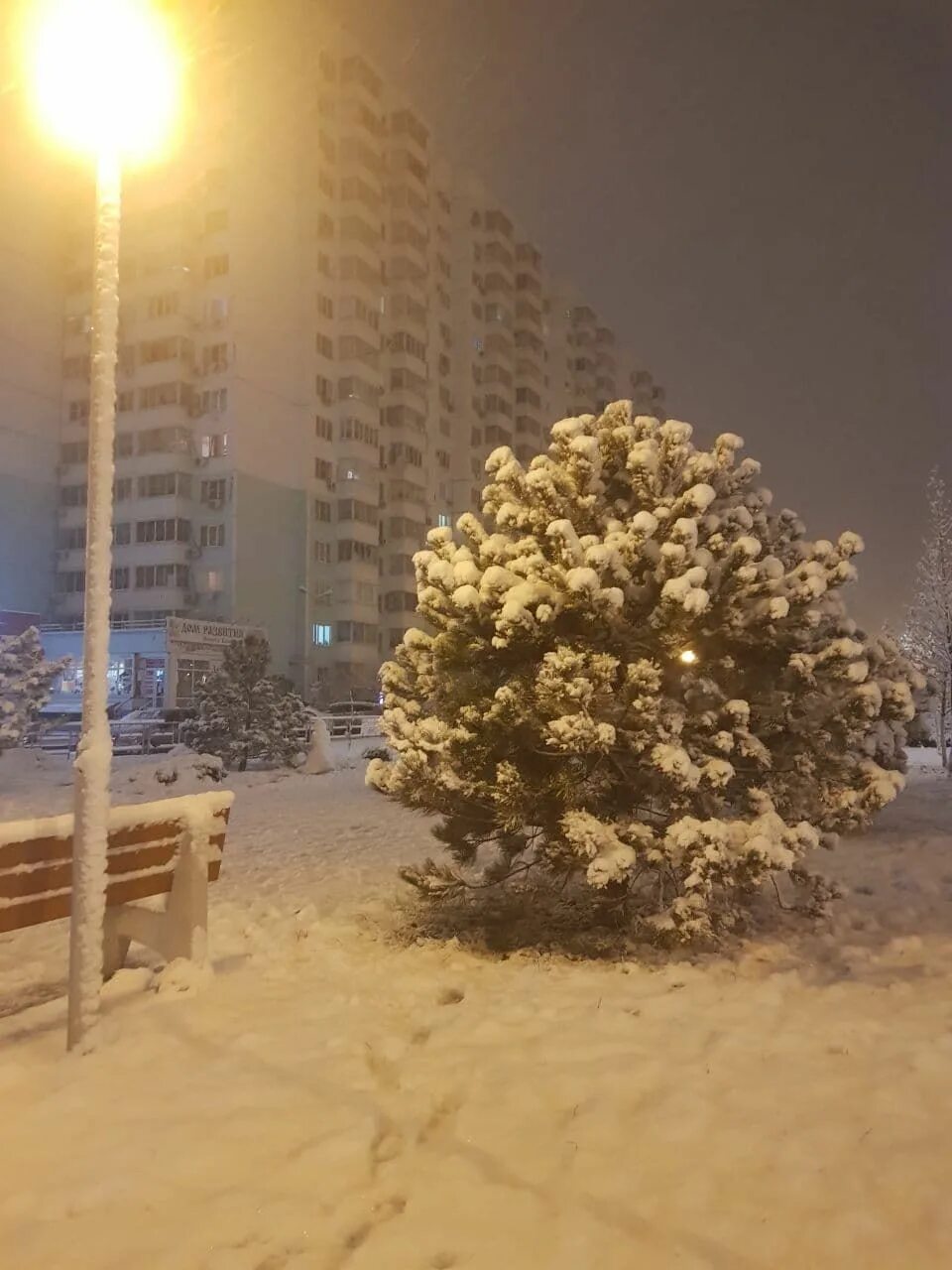 Снегопад в Краснодаре. Заснеженный Краснодар. Краснодар в снегу ночью. Снежный Краснодар ночью. Сегодня снег вечером будет