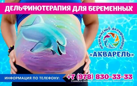 Дельфинарий алушта расписание