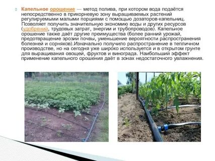 Способы орошения