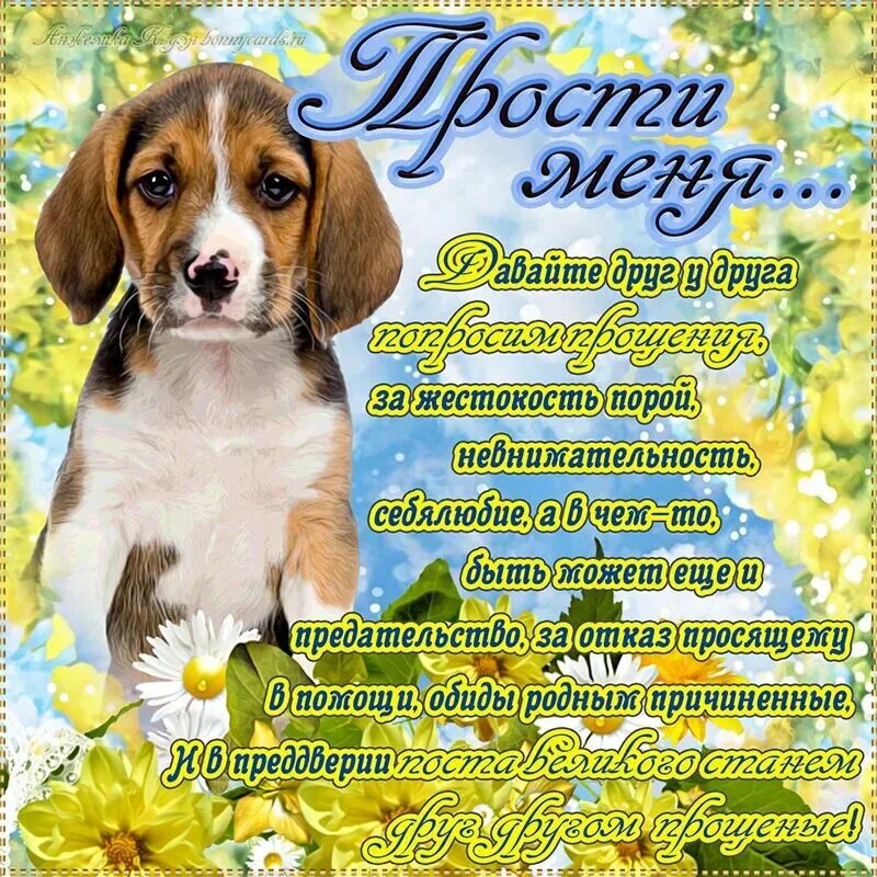 Открытки с прощенным воскресеньем бесплатные мерцающие. С прощенным воскресеньем. прощенное воскресенье поздравления. прощеное воскресенье открытка. с прощенным аоскресением.