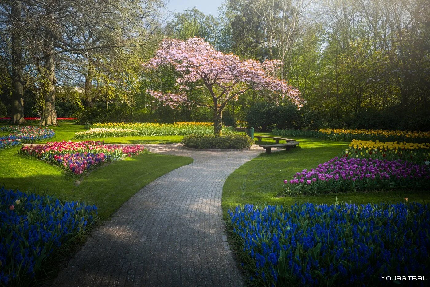 Парк какой прекрасный. Нидерланды парк Кекенхоф. Парк тюльпанов Кейкенхоф. Парк тюльпанов в Голландии Кекенхоф. Королевский парк цветов - Keukenhof.