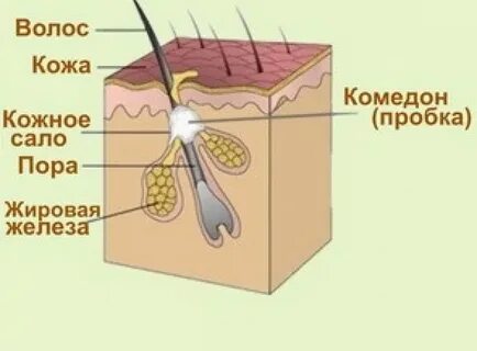 Подкожные элементы