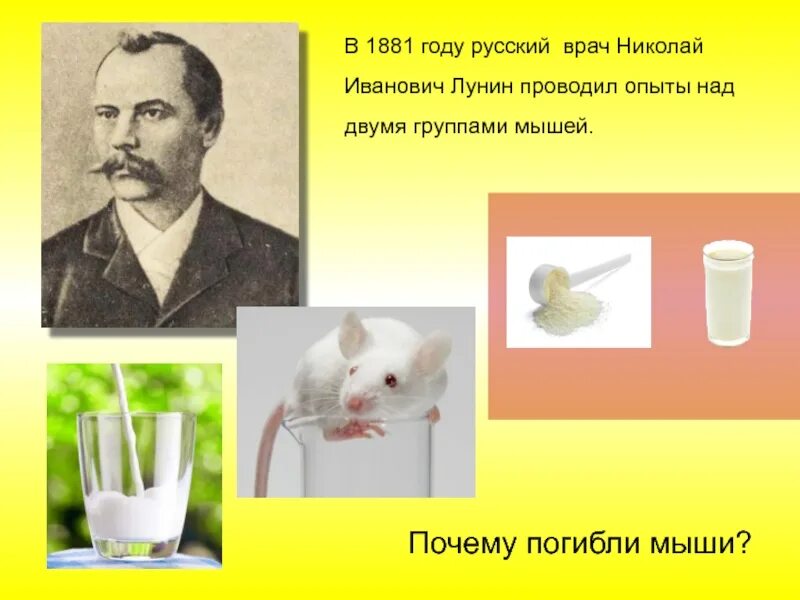 Лунин и мыши. Лунин витамины опыт 1880 года.
