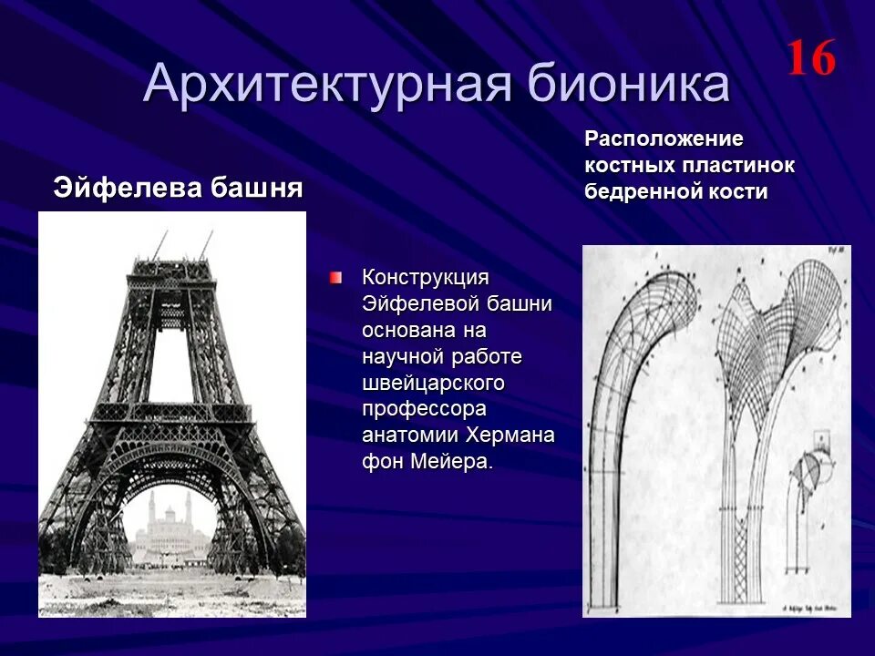 Бионика в архитектуре Эйфелева башня. Архитектурно строительная Бионика Эйфелева башня. Архитектурная Бионика презентация. Принципы бионики в архитектуре. Тема бионика