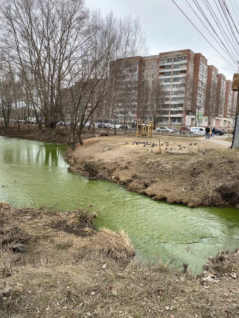 Холодная вода киров. Река Купелинка Видное. Река люльченка Киров. Купелинка набережная. Река люльченка Исток.