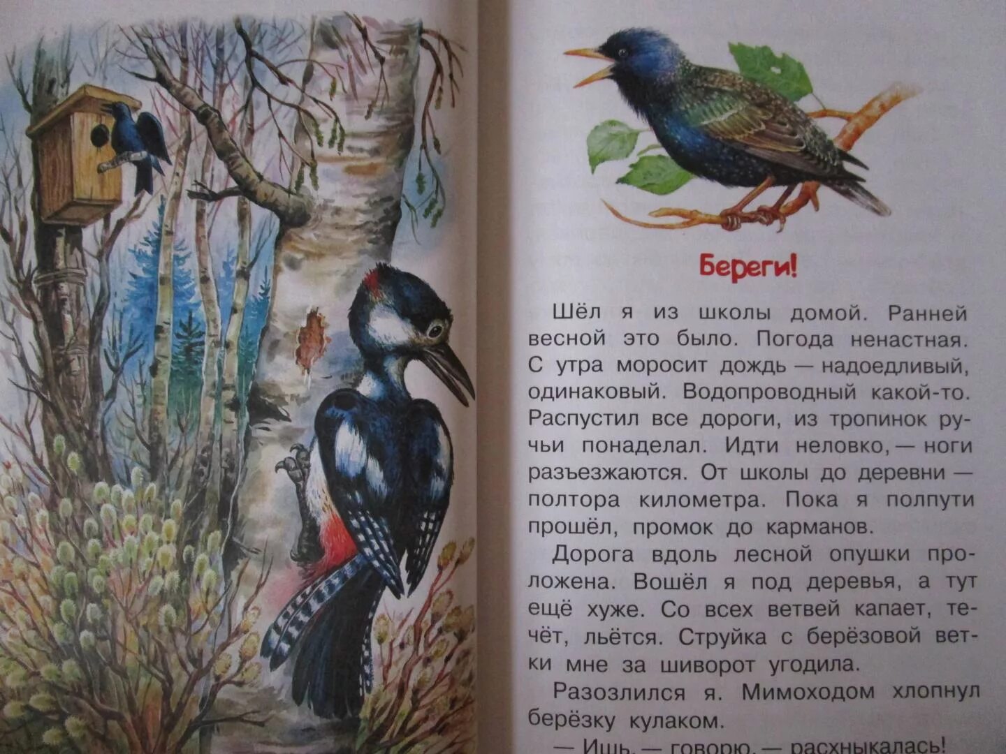 Книги э Шима. Э ШИМ книги для детей. Рассказы о родной природе 2 класс. Дудочкин почему хорошо на свете читать