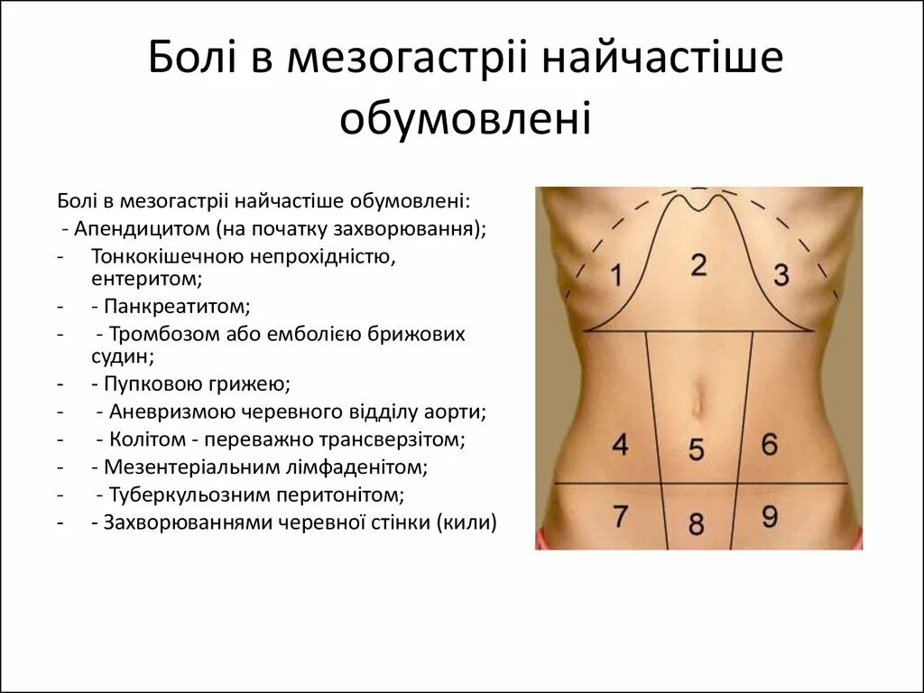 Эпигастральная область живота. Болит эпигастральная область и мезогастрий. Эпигастрий мезогастрий. Боль в мезогастрии справа. Боли в левой эпигастрии