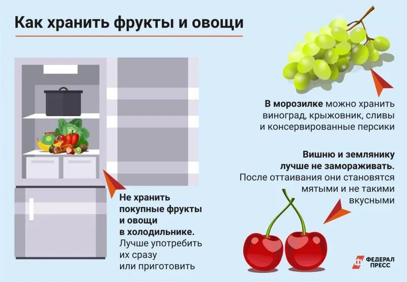 Температура хранения фруктов. Правильное хранение овощей и фруктов. Холодильник для хранения овощей и фруктов. Хранить овощи в холодильнике. Правило хранения фруктов и овощей.