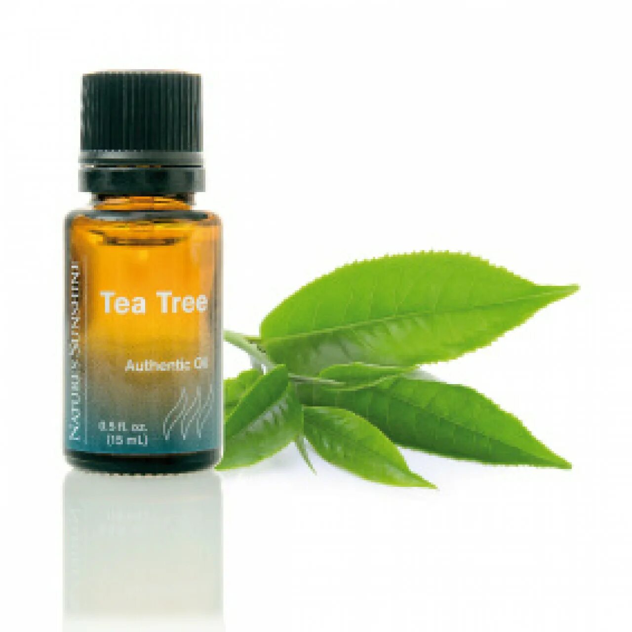 Tea Tree Oil NSP. Масло чайного дерева Tea Tree NSP. Масло чайного дерева от NSP. Эфирное масло чайного дерева сатива. Где купить чайное дерево