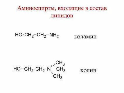 Коламин биологическая роль