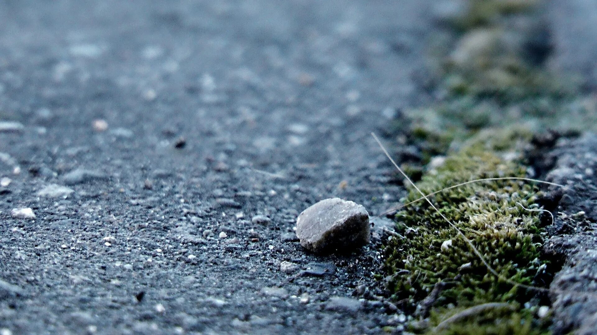 Камень на дороге. Мелкие камни на дороге. Дорогие камни. Камень надароге.