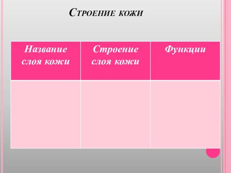 Тест кожа строение и функции 8 класс. Слои кожи строение и функции таблица. Название слоев кожи строение и функции. Функции кожи 8 класс. Слой кожи особенности строения функции.