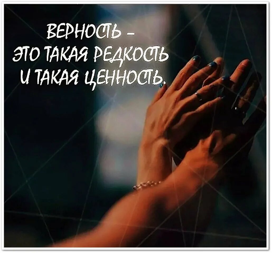 Верность выражения. Цитаты про верность. цитаты про верность и преданность. цитаты про любовь и преданность. цитаты про преданность.