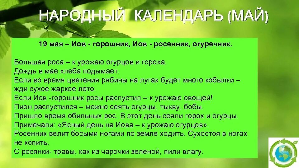 5 примет мая. 19 Мая народный календарь. 19 Мая приметы. 19 Мая – Иов-Горошник, огуречник, Росенник. Иов Горошник.