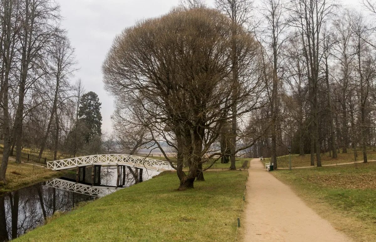 погода пушкинские горы на неделю