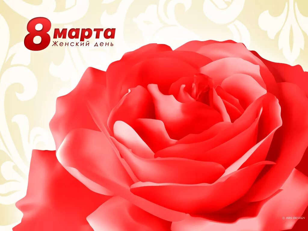 8 mart rasm