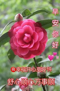 Chinese good