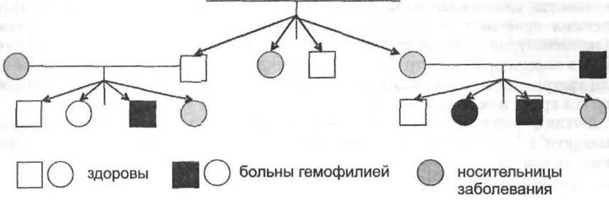 Гемофилия патогенез схема. Типы гемофилии схема. Гемофилия у детей патогенез. Схема наследования гемофилии. Гемофилия механизм