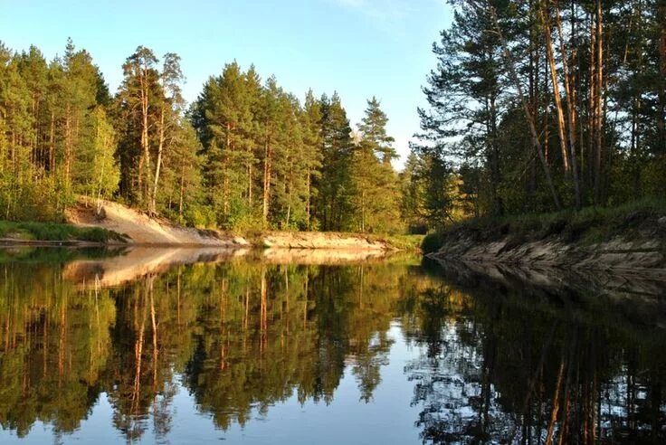 Мещера цена. Гусевской заказник Владимирской области. Парк Мещера во Владимирской области. Мещерский лес озеро. Река пра Мещерский заповедник.