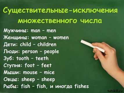 Множественное число в английском исключения 3 класс