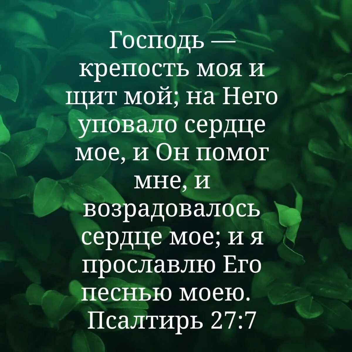 С О Господь мой. Господь мой крепость моя. Господь мой Бог. Псалмы из Библии.