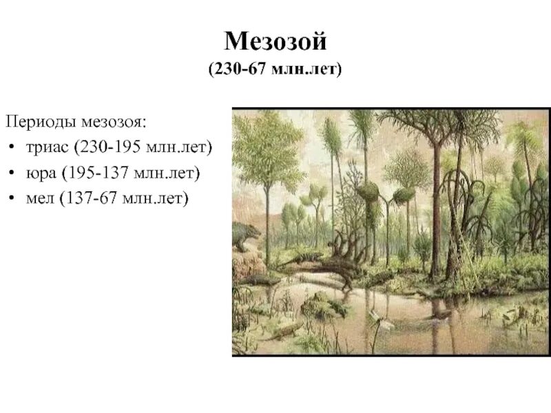 Мезозойское время. Эра мезозой период Юра. Триас, Юра и мел это периоды. Мезозойская Эра Триас таблица. Мезозойская Эра периоды схема.