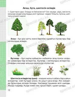 Күйеуі әйеліне лесбияндық порно әкелді.