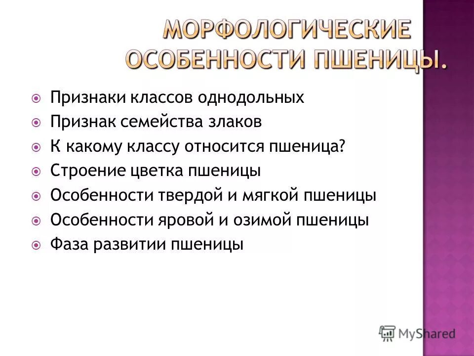 к какому классу относятся учителя