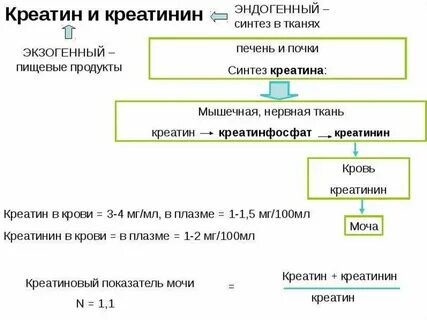 Креатинин образуется в