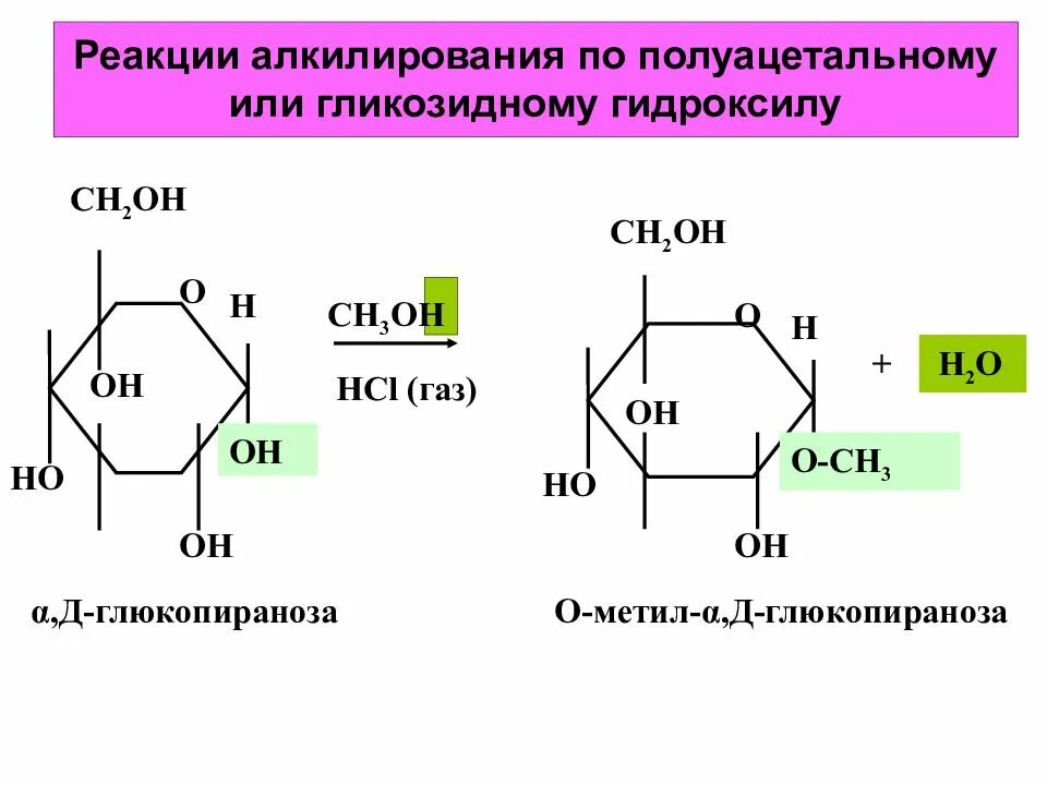 Фруктоза гидроксильная группа. Алкилирование Глюкозы формула. Алкилирование ксилозы. Реакция алкилирования Глюкозы. Альфа Глюкоза алкилирование.